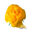 Карнавальная шапочка "Желтая роза"
